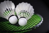 XII Torneio de Badminton